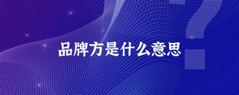 丙方 意思|丙方是什么意思